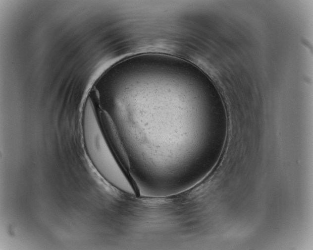 X0000098161200200804241756