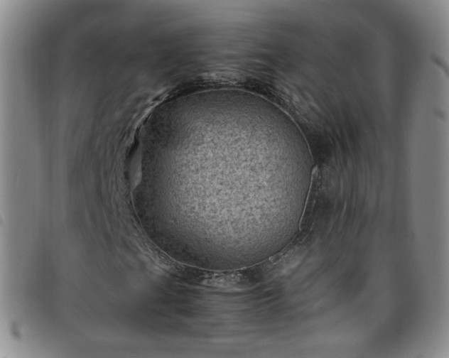 X0000098161201200804241755