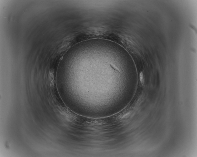 X0000098161203200804241755