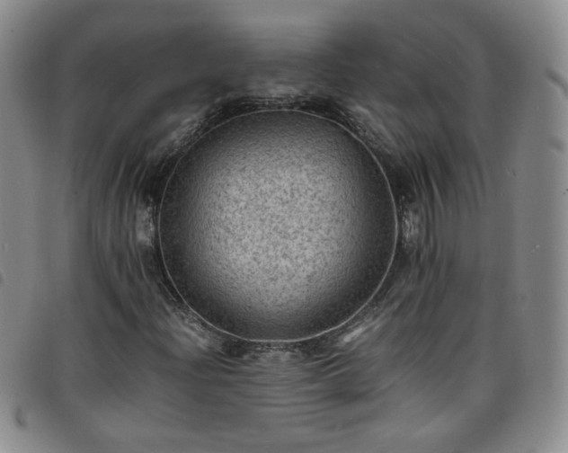 X0000098161204200804241755