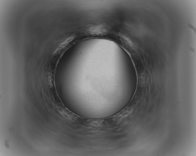 X0000098161205200804241756