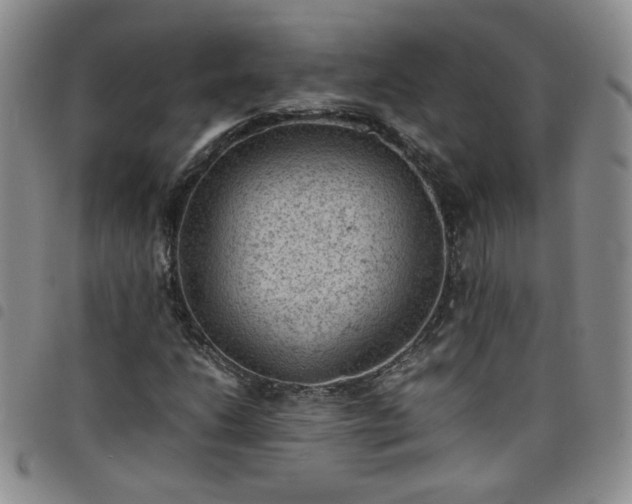 X0000098161206200804241756