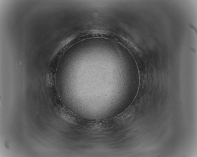 X0000098161207200804241756