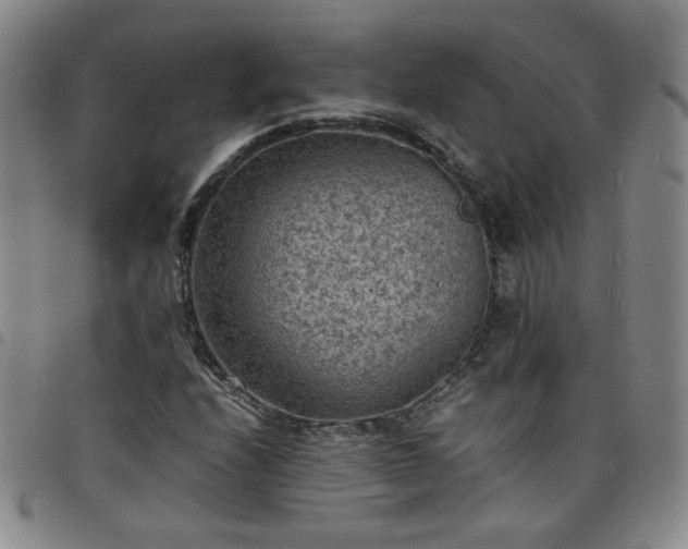 X0000098161208200804241756