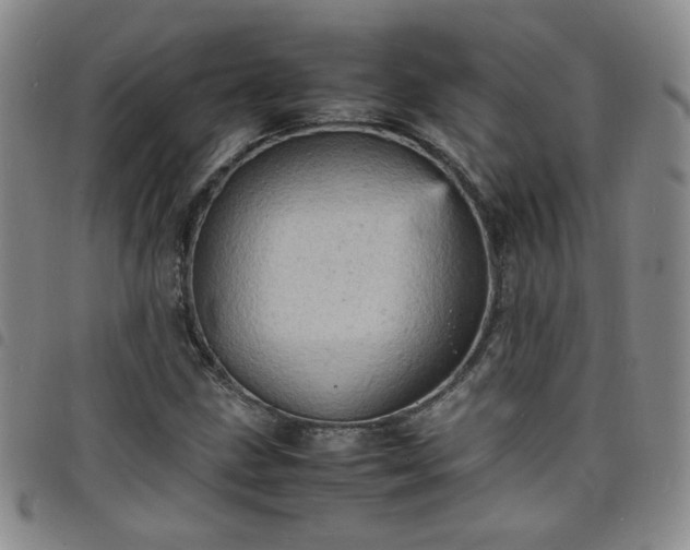 X0000098161211200804241756