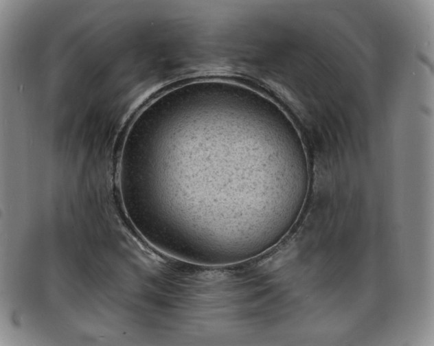 X0000098161212200804241756