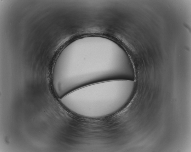 X0000098161213200804241756