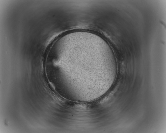 X0000098161214200804241756