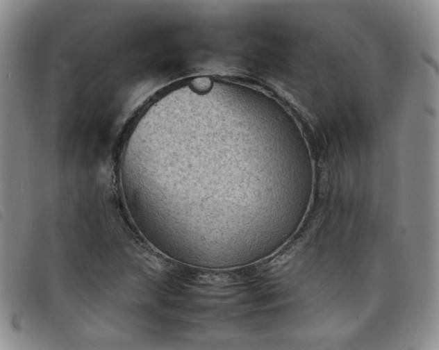 X0000098161215200804241756