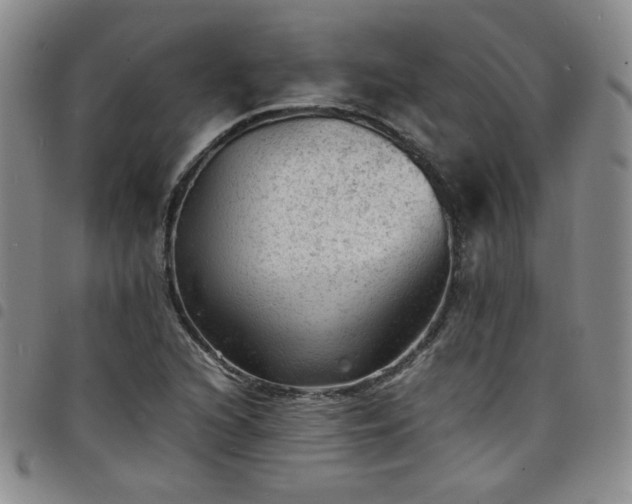 X0000098161216200804241756