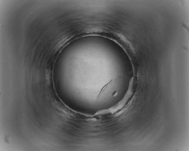 X0000098161217200804241756