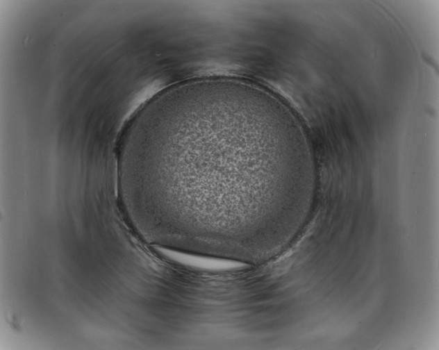 X0000098161219200804241756