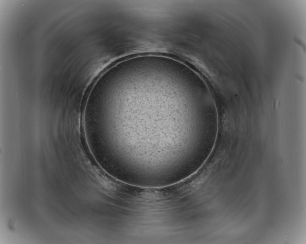 X0000098161220200804241756