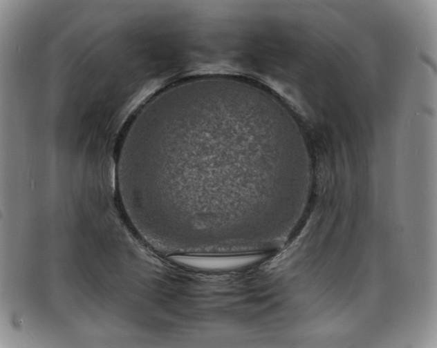 X0000098161221200804241756
