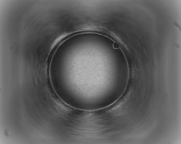 X0000098161222200804241756