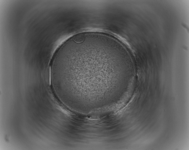 X0000098161223200804241756