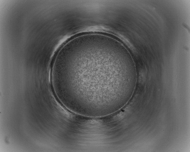 X0000098161224200804241756