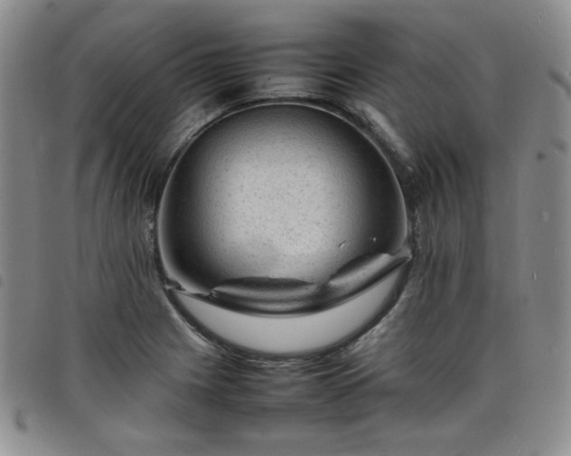 X0000098161225200804241756