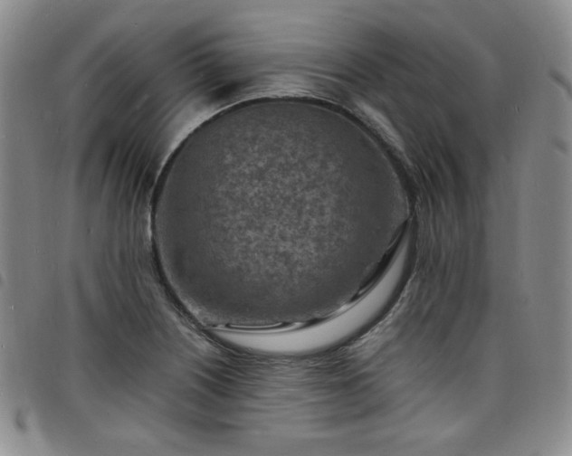 X0000098161226200804241756