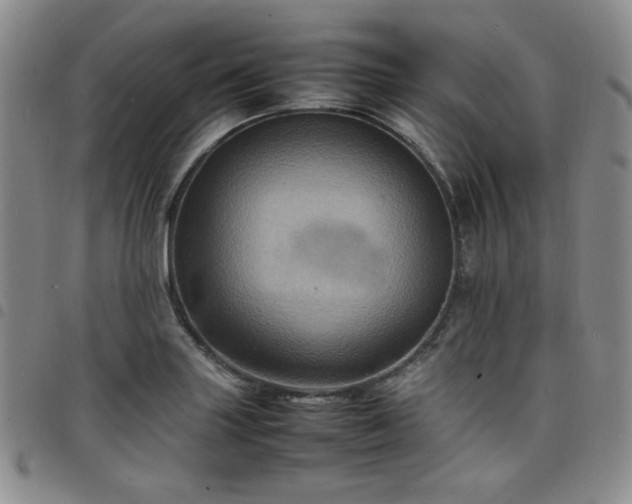 X0000098161227200804241756