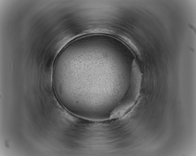 X0000098161228200804241756