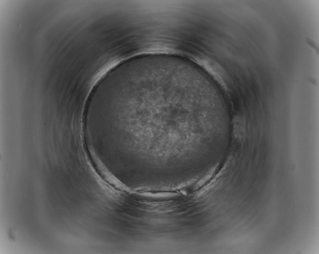 X0000098161229200804241756