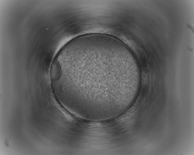 X0000098161230200804241756