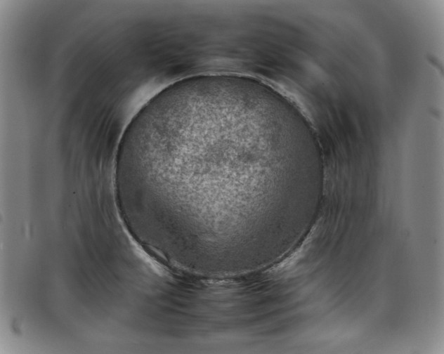 X0000098161231200804241756