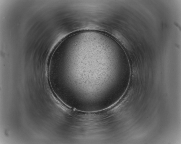 X0000098161232200804241756