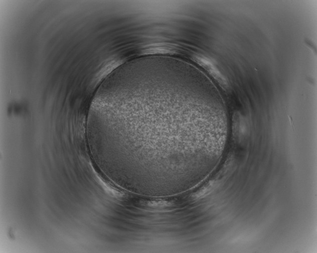 X0000098161233200804241756