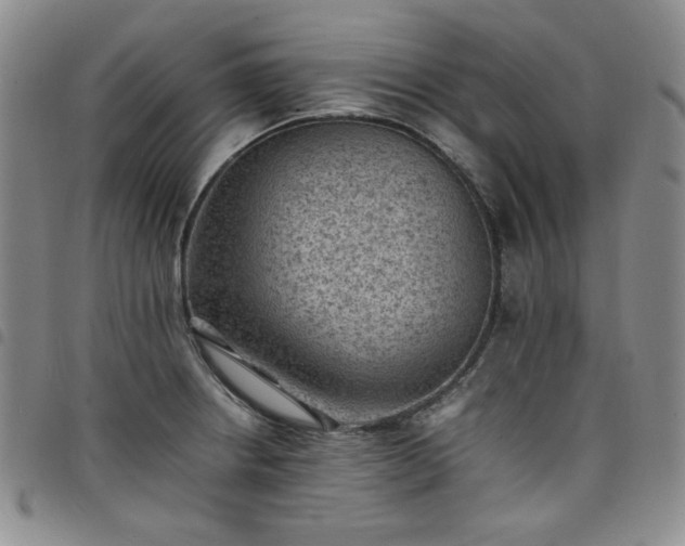 X0000098161234200804241756
