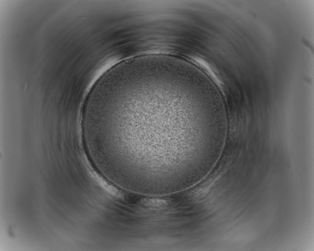 X0000098161235200804241756
