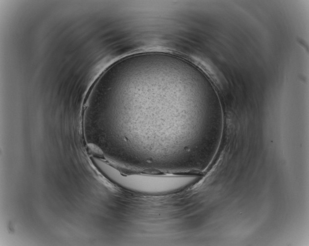X0000098161236200804241756