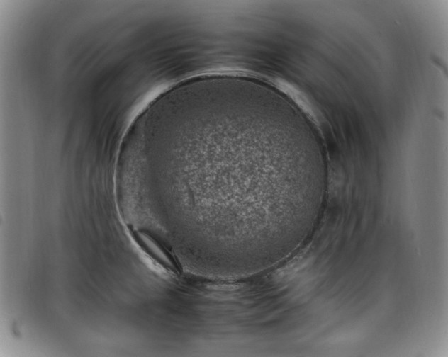 X0000098161237200804241756