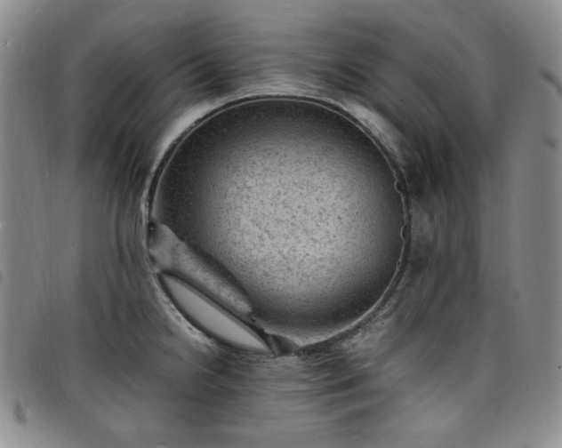 X0000098161238200804241756