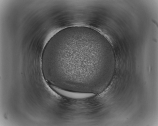 X0000098161239200804241756