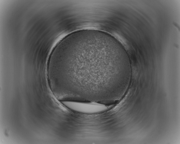 X0000098161240200804241756