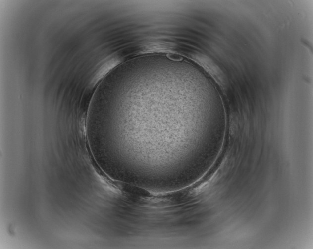 X0000098161241200804241756