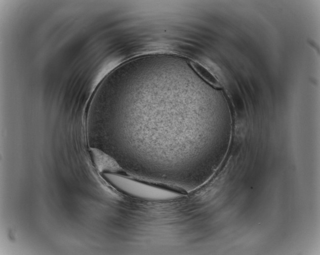 X0000098161242200804241756