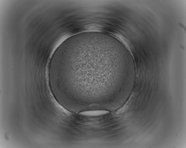 X0000098161243200804241756
