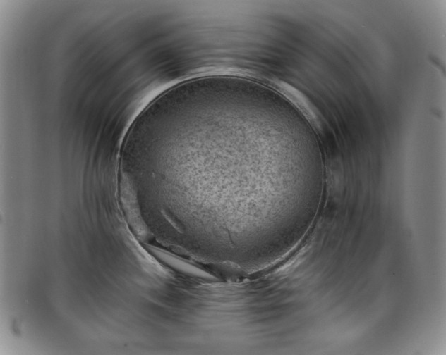 X0000098161244200804241756