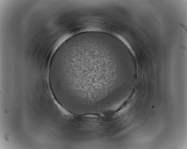 X0000098161245200804241756