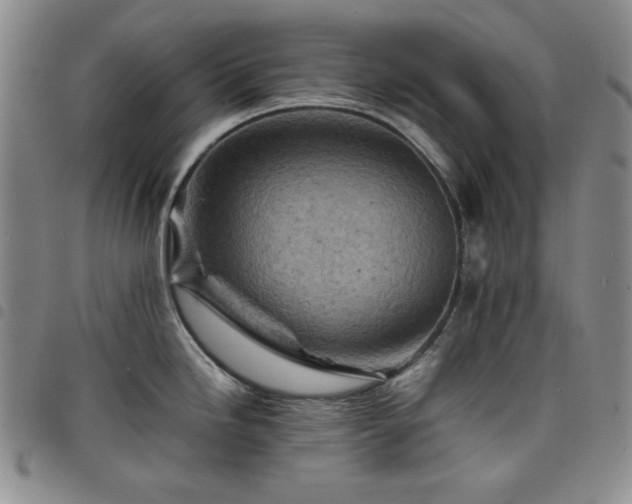 X0000098161246200804241756
