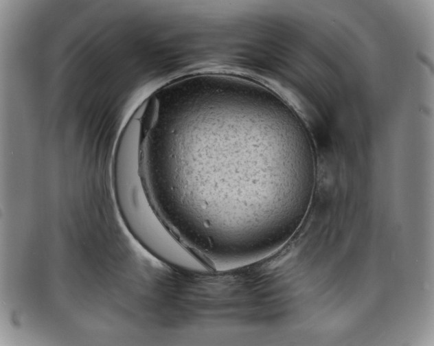 X0000098161247200804241756
