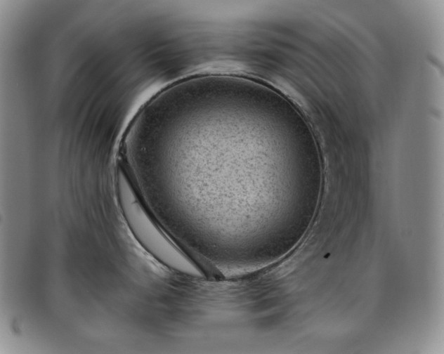 X0000098161248200804241756