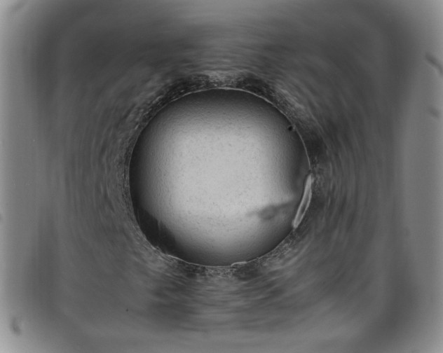 X0000098161249200804241755