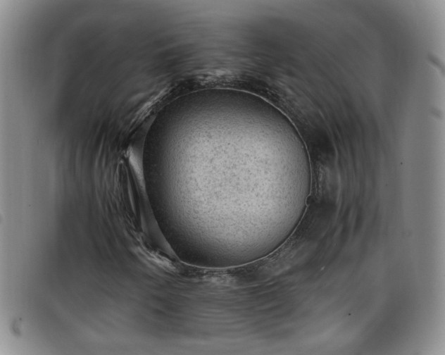 X0000098161250200804241755