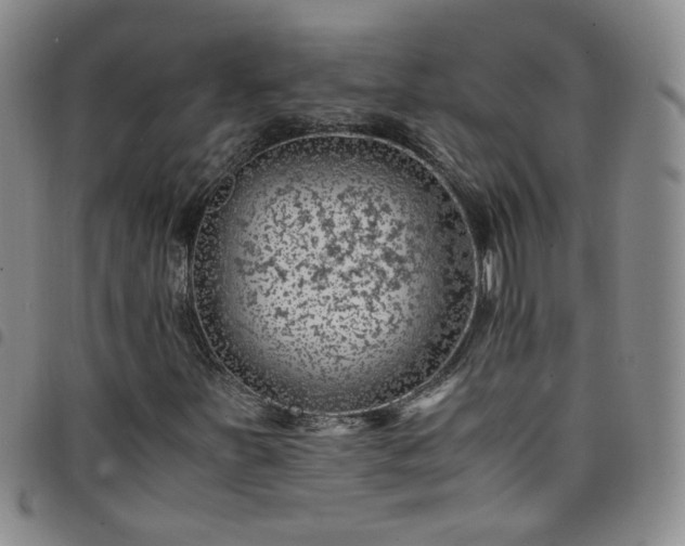 X0000098161251200804241755