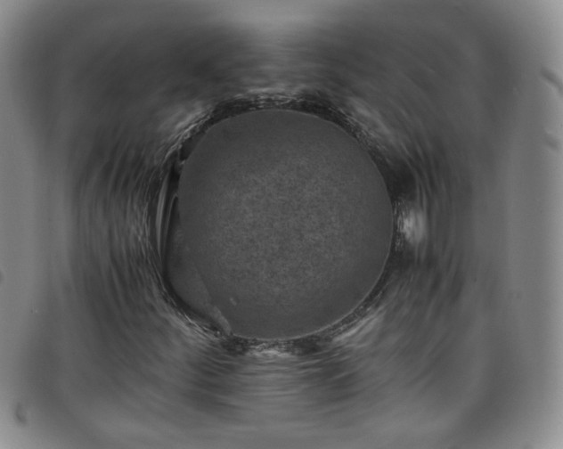 X0000098161252200804241755