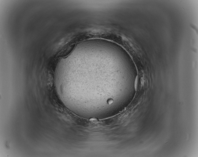 X0000098161253200804241755